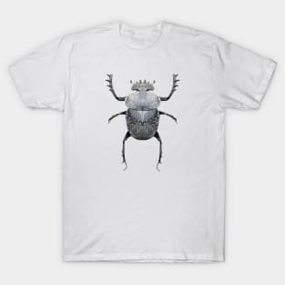 Giant Flattened Dung Beetle T-Shirt